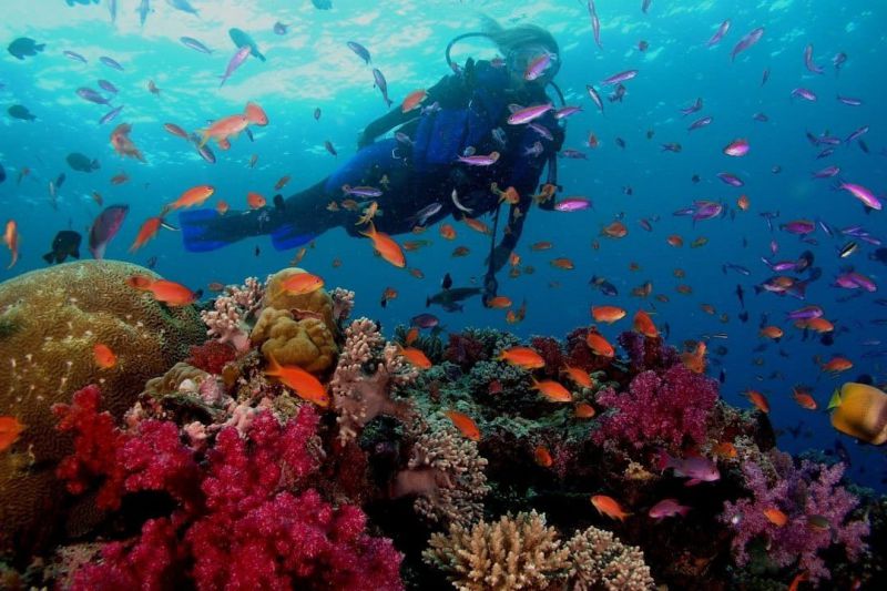 Ideal Scuba Diving and Snorkeling Spots in Goa - Away Cabs