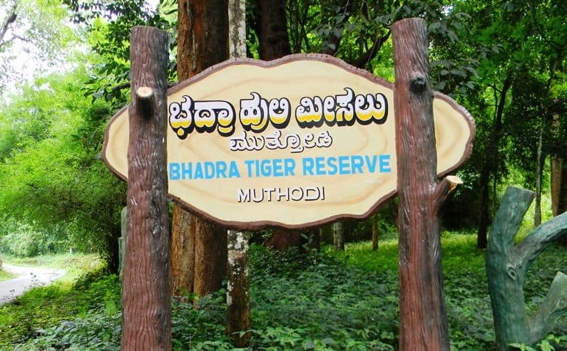 Bhadra Wildlife Sanctuary - Away Cabs